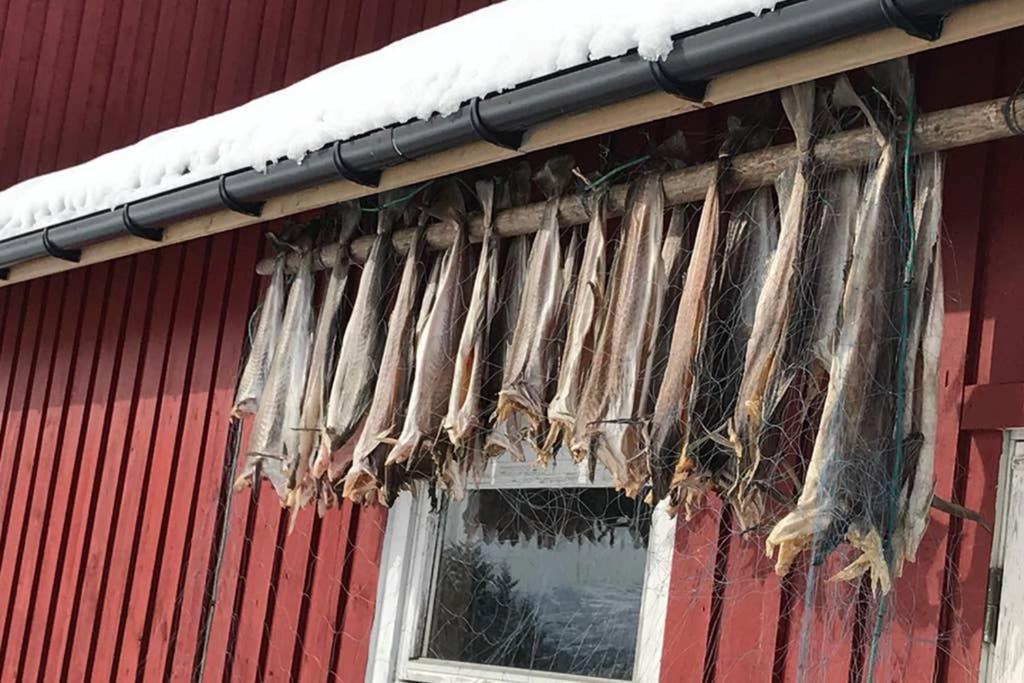 Nordlandshus Ved Lofotr
